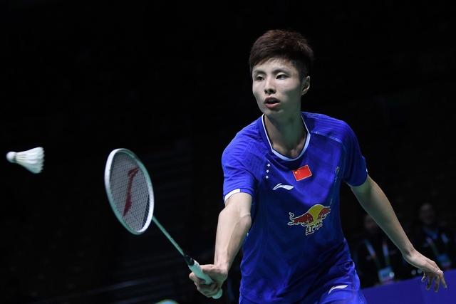 引起了球迷 引起了球迷