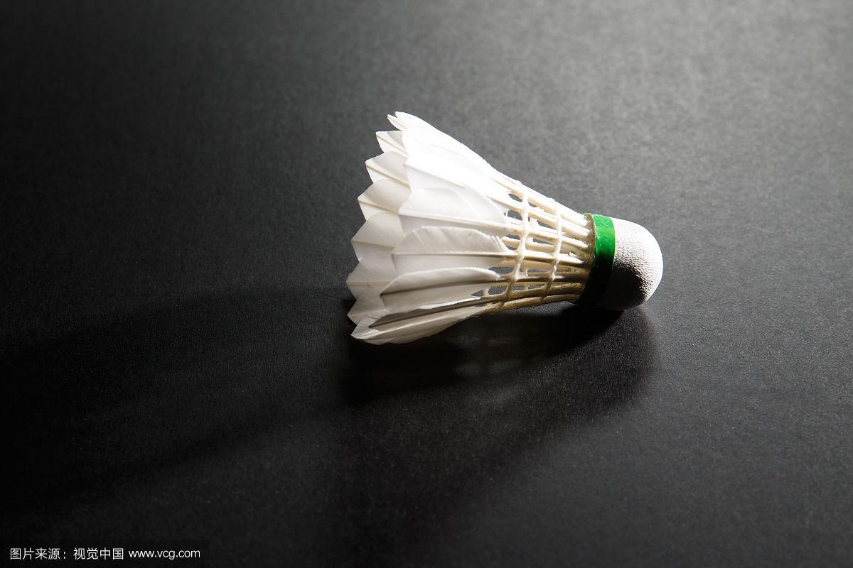 从阵容结构 从阵容结构